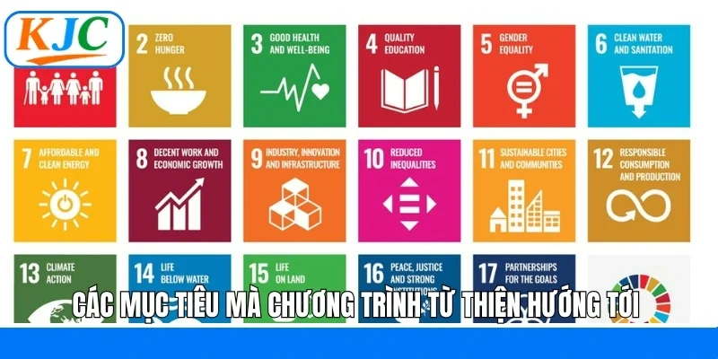 Các mục tiêu mà chương trình từ thiện hướng tới 